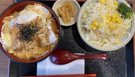 カツ丼のグルコース値を測定した結果